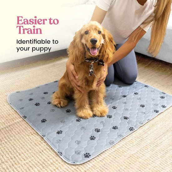 COOLTEX(ANHUI)MANUFACTURING LTD. Dog Training Pad 宠物尿垫